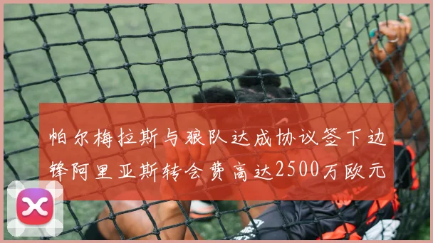 帕尔梅拉斯与狼队达成协议签下边锋阿里亚斯转会费高达2500万欧元
